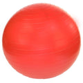 w/ 75cm Gym Anti-Burst Pump- Ball