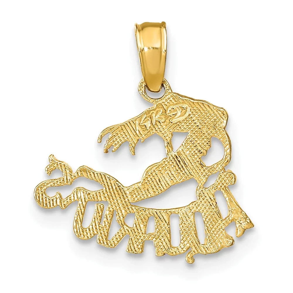 17 16 10 x mm Charm Gold Finejewelers kt FJC Zodiac Yellow AQUARIUS