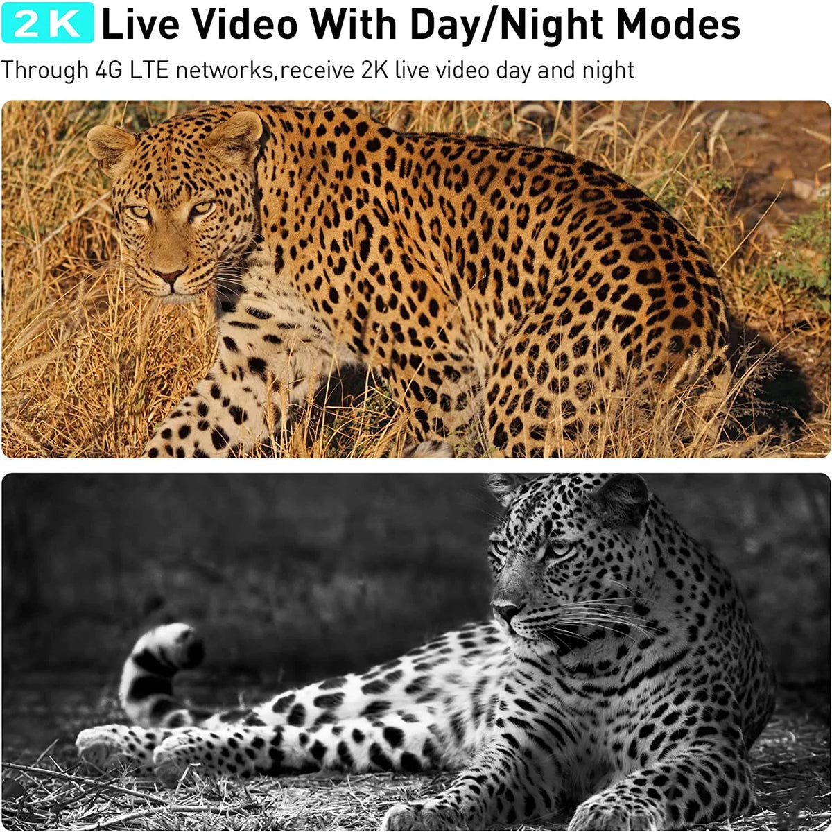 Hunting with 355°View Trial Vision 1080p Tilt with Night Soliom Pan Outdoor LTE Camera SIM Cellular S50 3G/4G Card,Wireless Cameras
