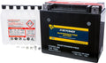 Free CTX20L-BS 310X With Kawasaki 2015-2016 Battery Fire SE Compatible Ultra Maintenance Power (JT1500-P)