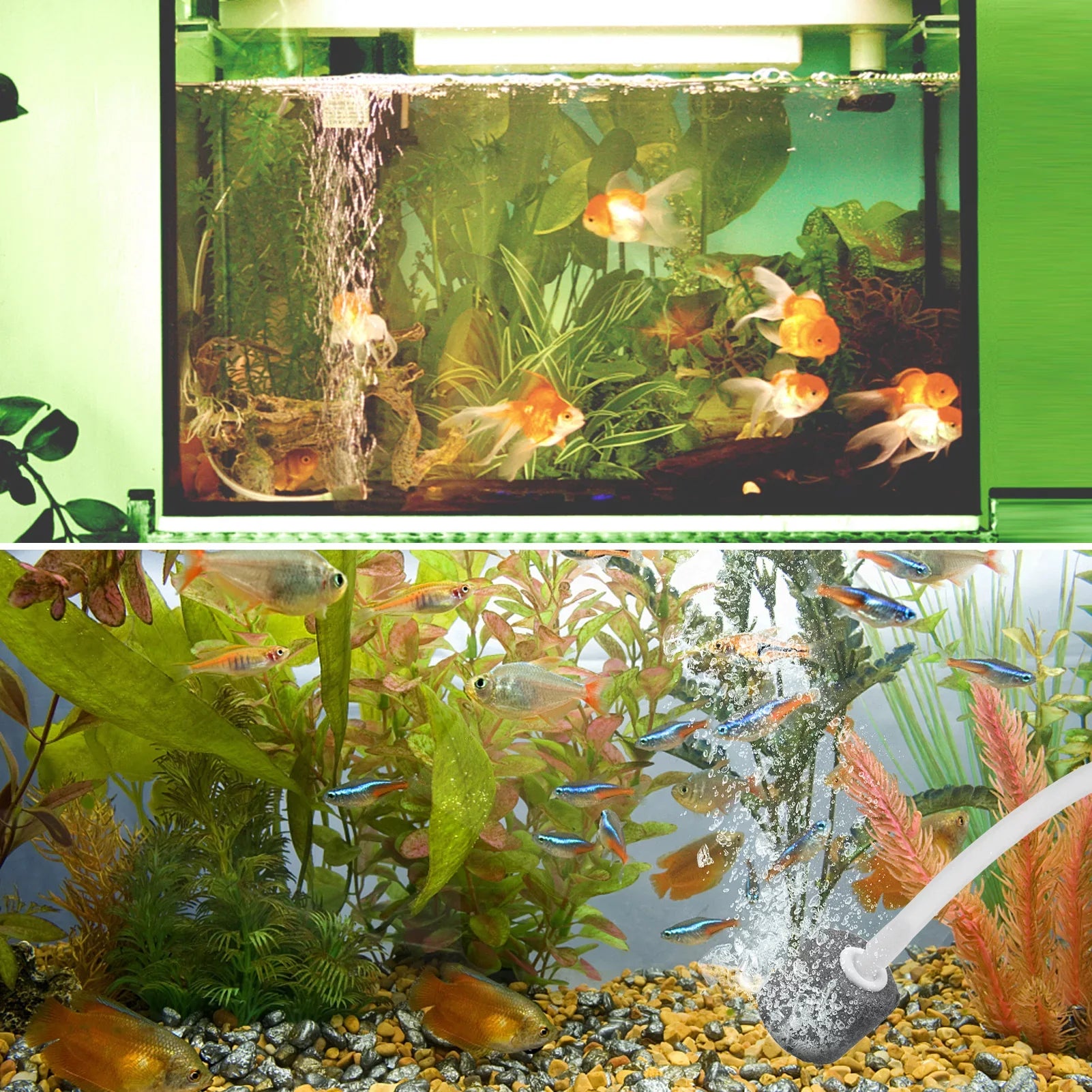 Bubble for Oxygenator Stone Fishing Aerator 1.5W Oxygen Rechargeable Pipe oxygen Water Tank Circulation Aquarium moobody Pump & Pump Solar Fish 5.5V with oxygen Pools Ponds Fish Tranportation Pond Small