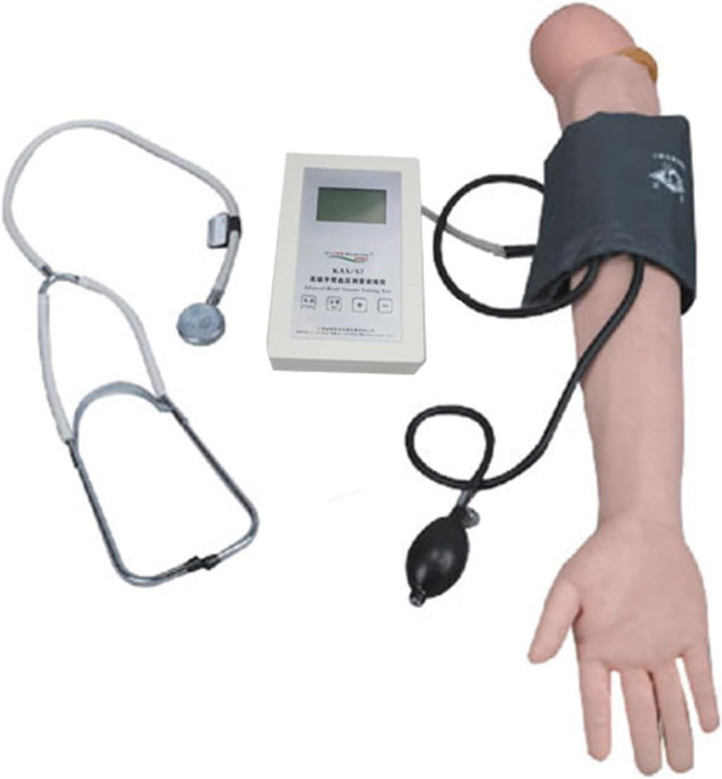 Blood Pressure Training Arm Simulator â Adjustable Arterial Practice Model