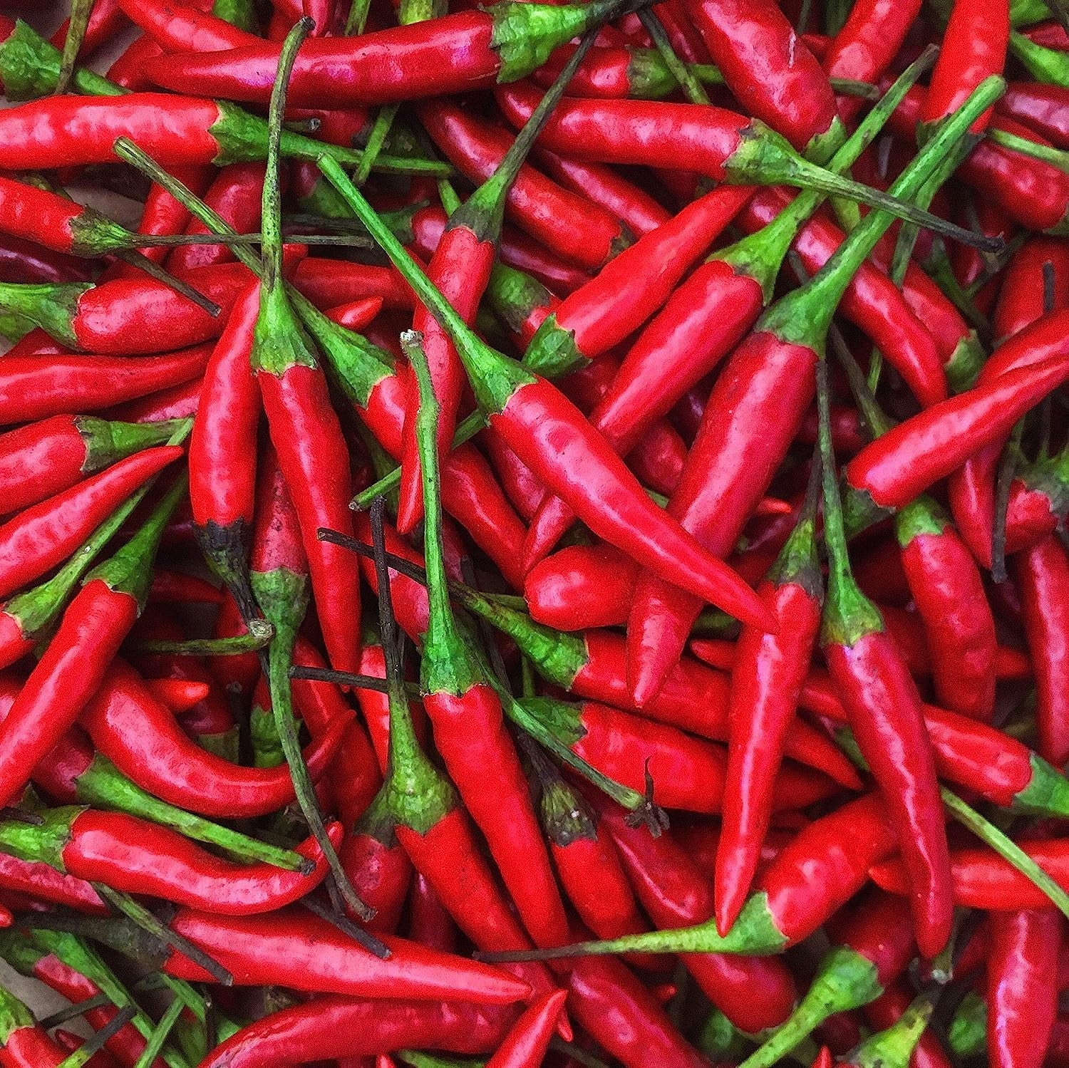 Peppers Chili Fresh oz) -1 (16 Lb Thai Red