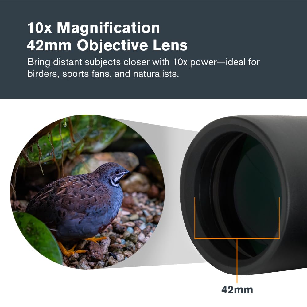 Celestron Outland X 10x50 Binoculars for Low-Light Wildlife Views