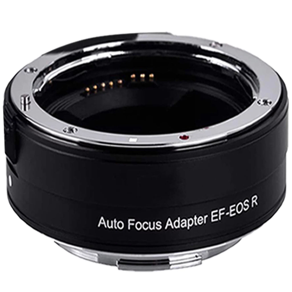 R6 Camera STM Mount Bundle + Adapter Digital Mirrorless 24-105mm + SanDisk Canon RF with 128GB + EOS ZeeTech Accessory Lens