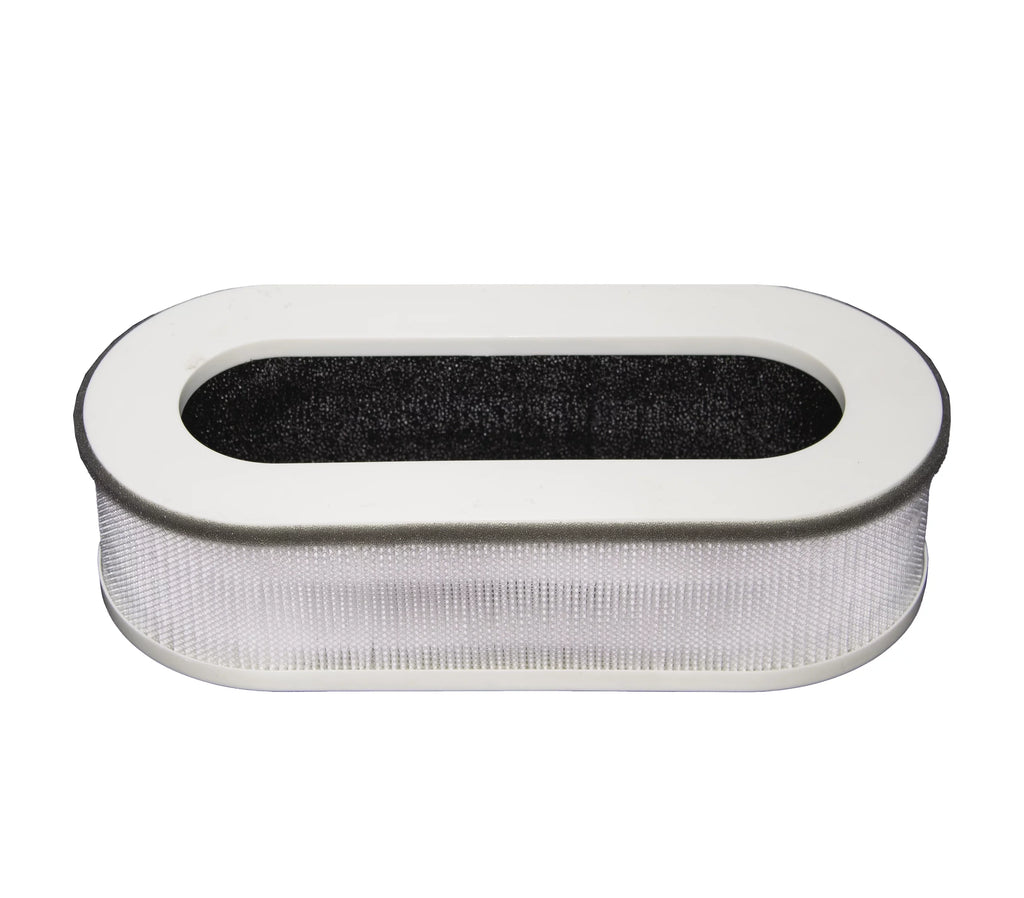 in RP-AP068 Filter (2-Pack) Set Fits (3 Renpho LifeSupplyUSA Replacement 1)