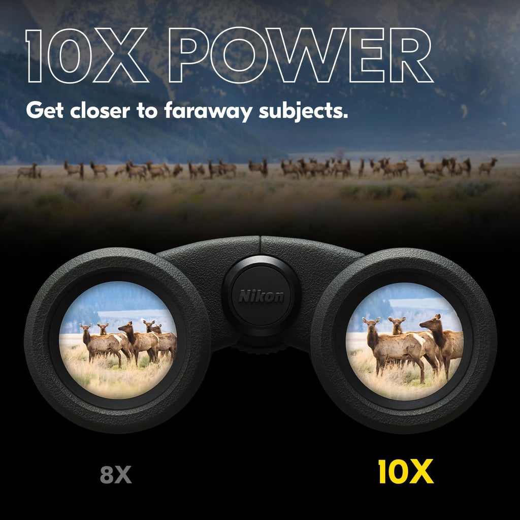 Nikon PROSTAFF P3 10x30 Binocular | Waterproof, fogproof, rubber-armored compact Binocular, wide field of view & long eye relief | Official Nikon USA Model