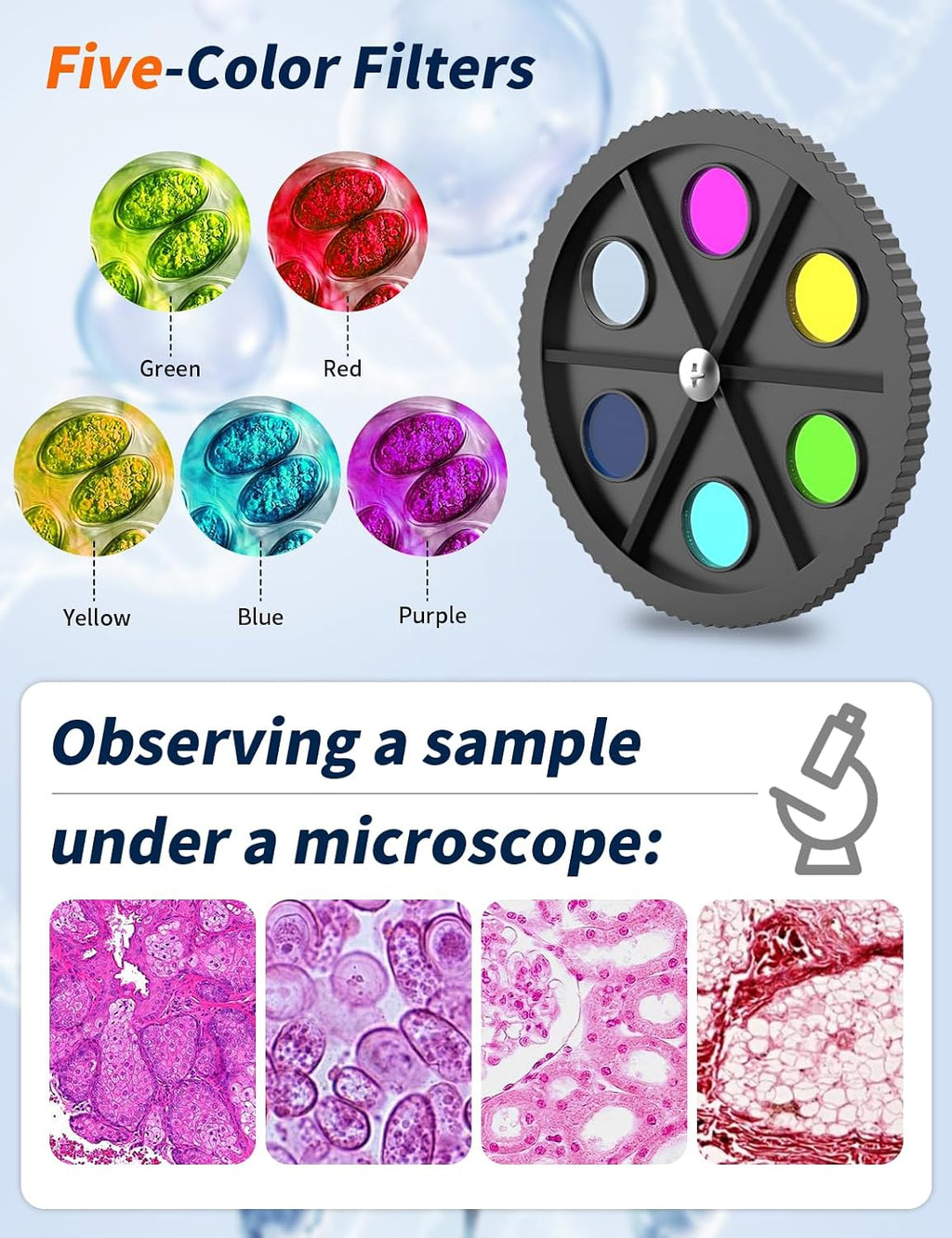 Microscope for Adults,WF10x/25x Eyepieces,40xâ2000x Magnification,Up/Down LED,Comes with a Free Experiment Kit & Phone Adapter.Suitable for Students Home and School Lab