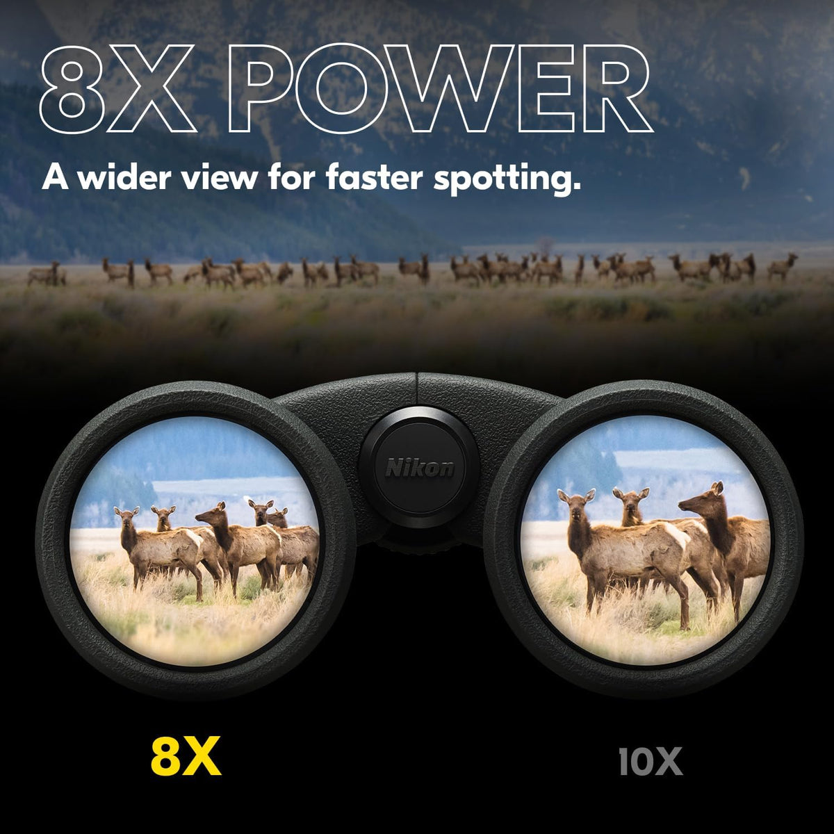 Nikon PROSTAFF P3 10x30 Binocular | Waterproof, fogproof, rubber-armored compact Binocular, wide field of view & long eye relief | Official Nikon USA Model