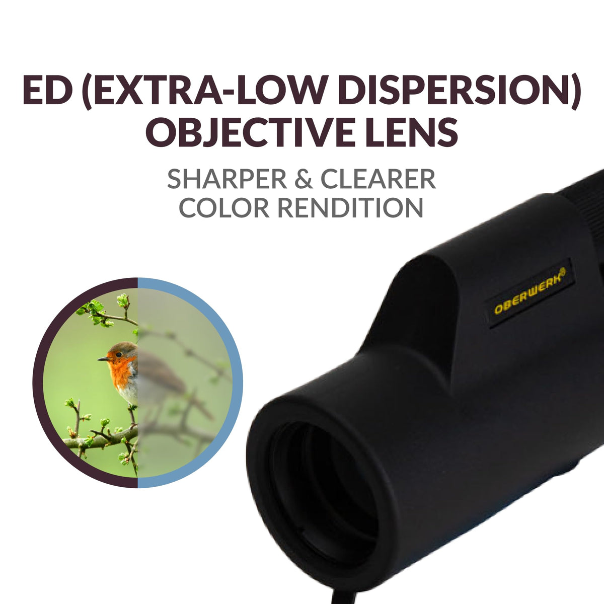 Oberwerk 8x32 Sport HD II Monocular - Professional Scope/Optics for Children/Bird- Watching/Waterproof/Light-Touch Focuser