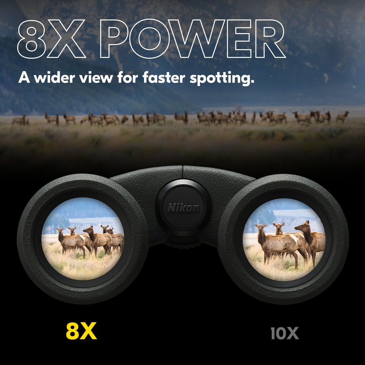 Nikon PROSTAFF P3 10x30 Binocular | Waterproof, fogproof, rubber-armored compact Binocular, wide field of view & long eye relief | Official Nikon USA Model