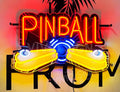 Queen Sense 20"x16" Pinball Machine Video Game Neon Sign Light Lamp with HD Vivid Printing Tech Artwork A120PBMV2VVD