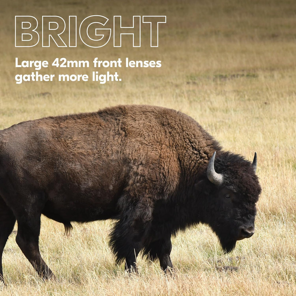 Nikon PROSTAFF P3 10x30 Binocular | Waterproof, fogproof, rubber-armored compact Binocular, wide field of view & long eye relief | Official Nikon USA Model