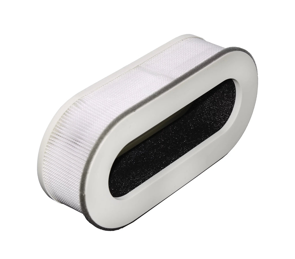 in RP-AP068 Filter (2-Pack) Set Fits (3 Renpho LifeSupplyUSA Replacement 1)