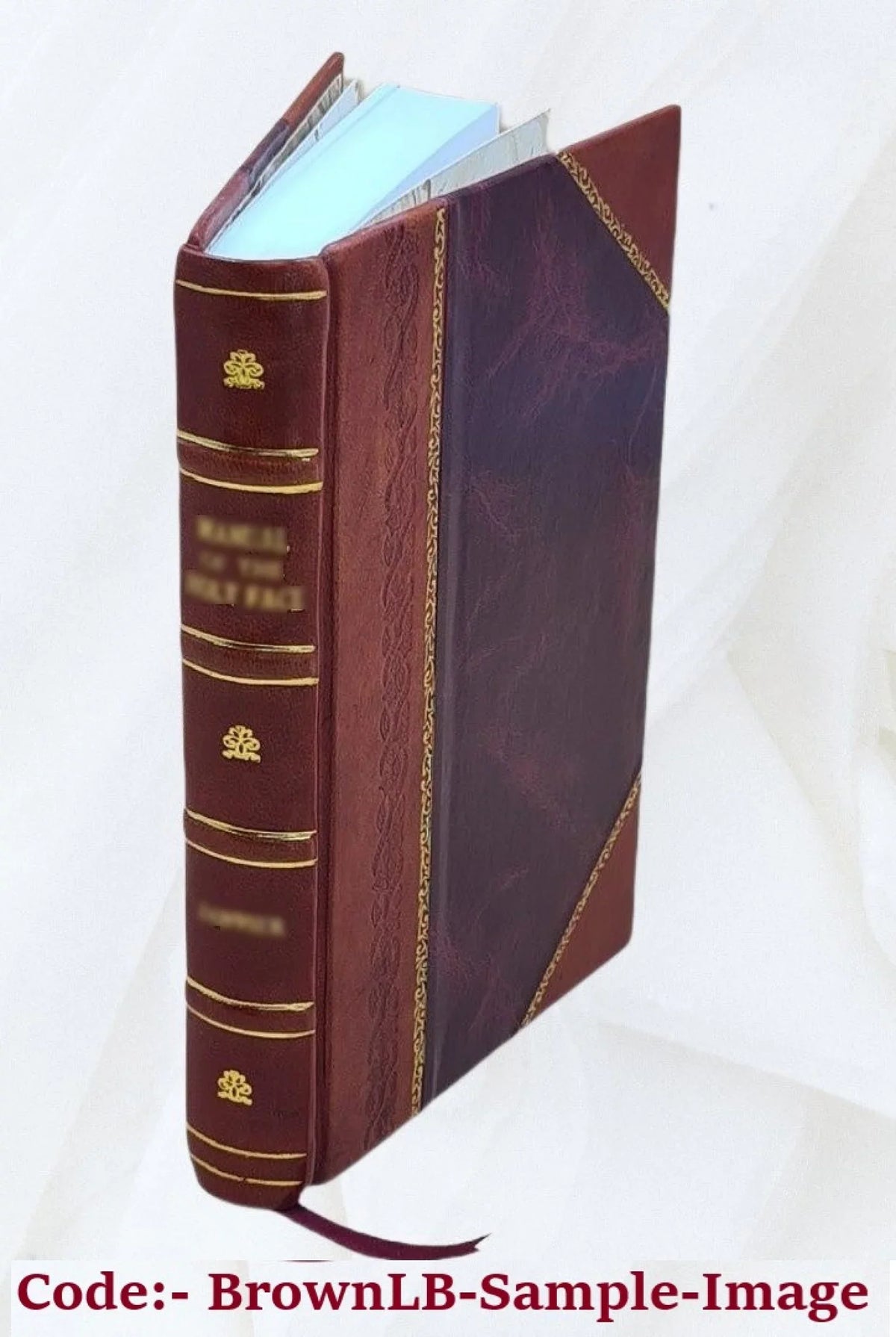 1860 São Volume Atas Paulo. [Leather de de v.46 Bound] 1860 Cidade Câmara da