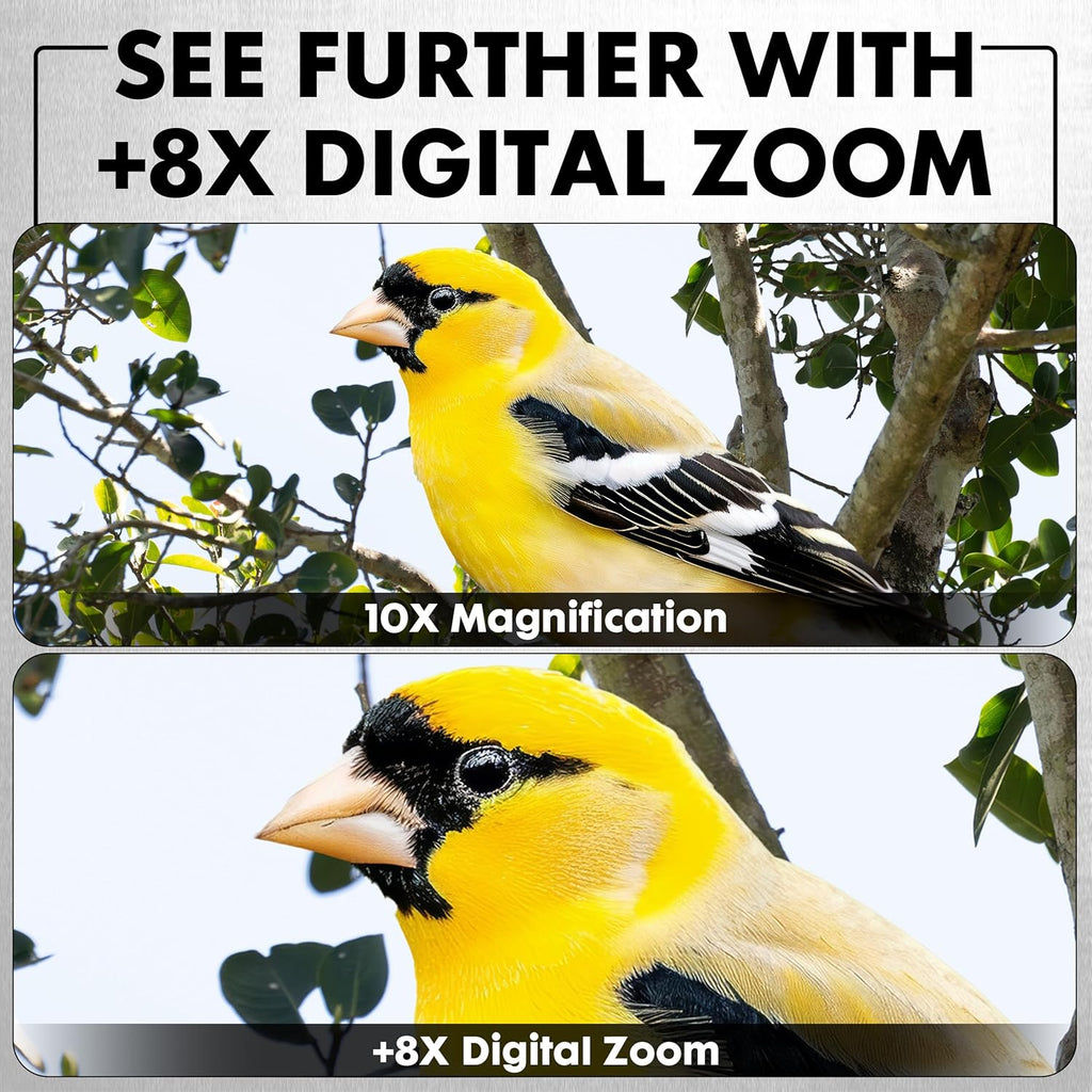 Minolta MNDM10B 10x25 Digital Night Vision Monocular with 4K Ultra HD Camer