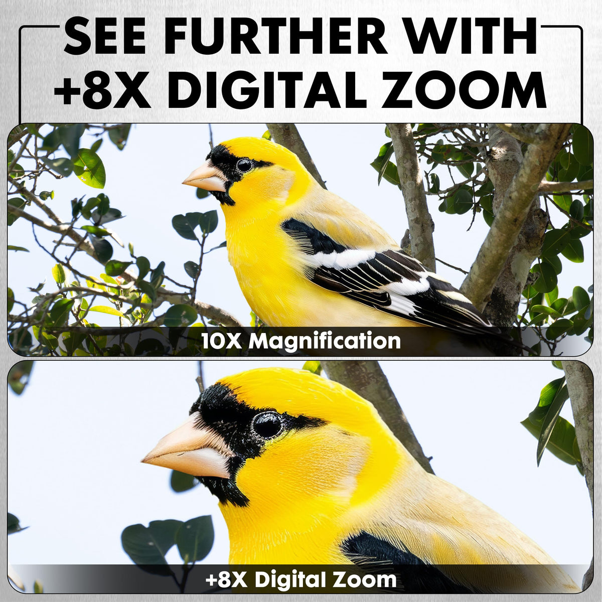 Minolta MNDM10B 10x25 Digital Night Vision Monocular with 4K Ultra HD Camer