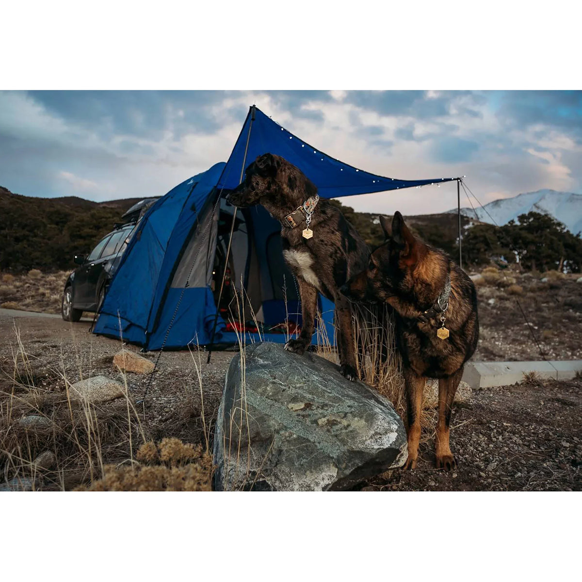 Camping Tent SUV Universal Person 4 Dome-To-Go with Cargo Awning Napier Sportz