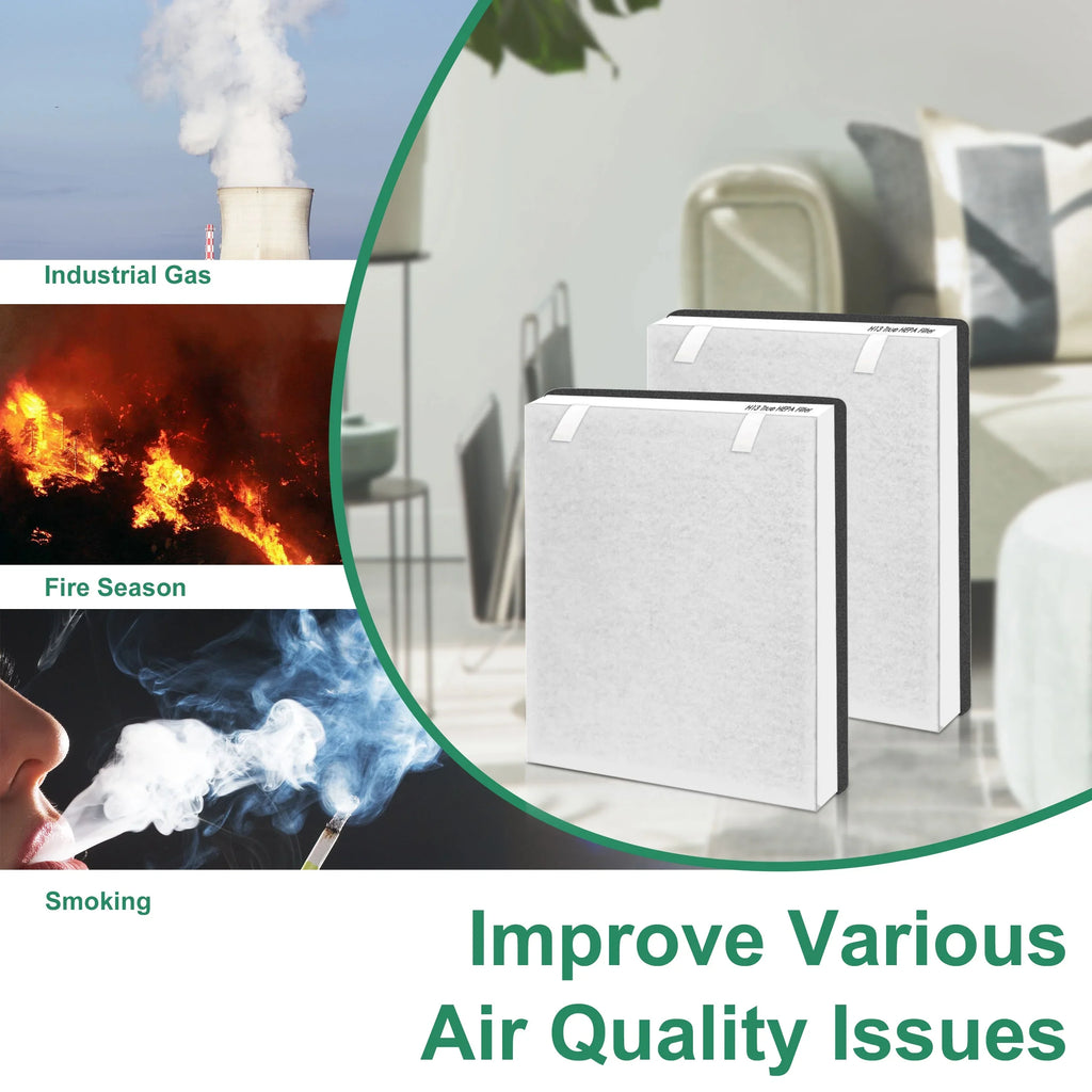 100-RF PARTS Vital Filter 100, HEPA 100 AMI Fits oxygen Purifier Vital Replacement True Vital