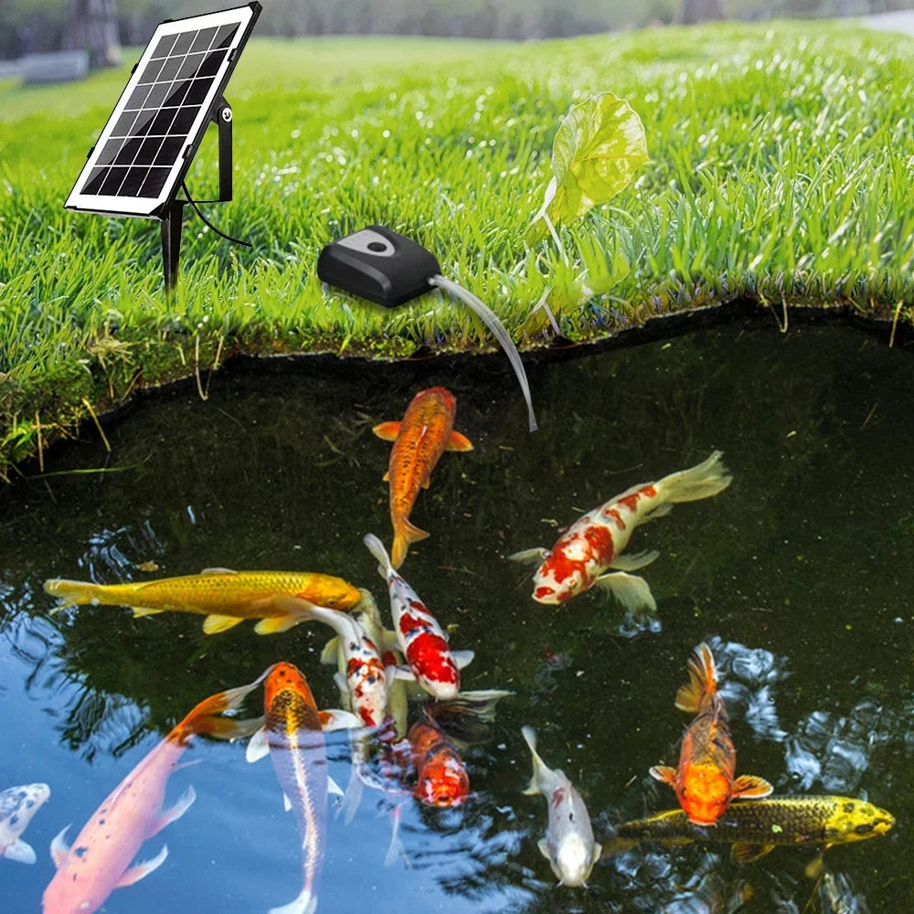 Aerator Ponds Pump oxygen Ponds oxygen Water Aerator Fish Dual Stone Pools Pump 6v Pond Pond Aerator With Fish Reable Zdhf Pipe Pump Solar Solar Bubble 3.5w Pump,Pond Stone