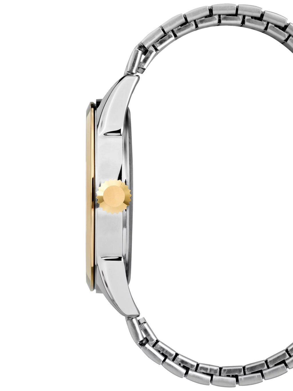 Briarwood Band Watch, Stainless Two-Tone Steel Men's Expansion