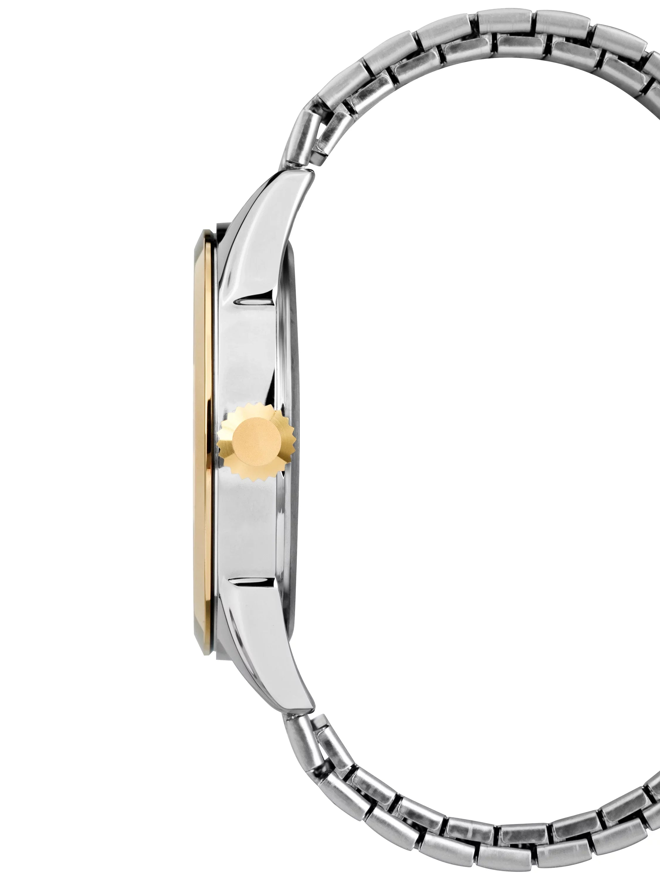 Briarwood Band Watch, Stainless Two-Tone Steel Men's Expansion