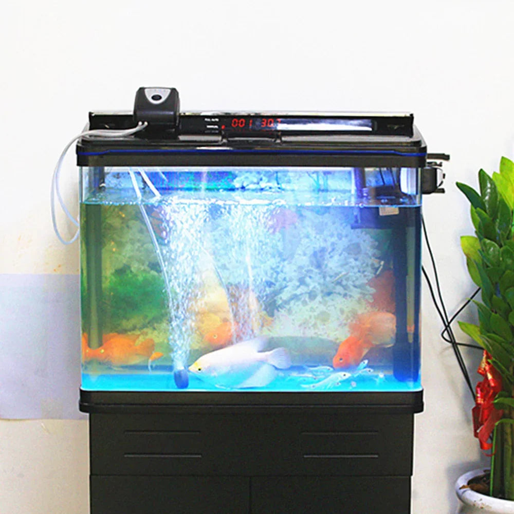 Aerator Ponds Pump oxygen Ponds oxygen Water Aerator Fish Dual Stone Pools Pump 6v Pond Pond Aerator With Fish Reable Zdhf Pipe Pump Solar Solar Bubble 3.5w Pump,Pond Stone