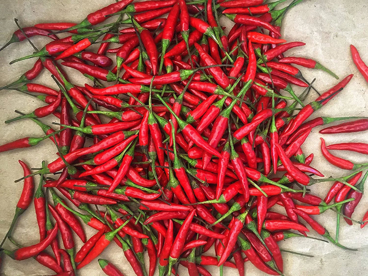 Peppers Chili Fresh oz) -1 (16 Lb Thai Red