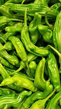 Chili lbs. 2 Peppers Shishito Fresh