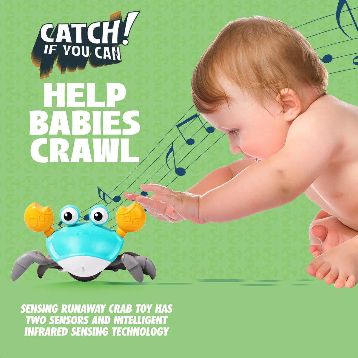 Old Crab 11 Toys Development For Learning Toddlers Crawling 6 Baby 9 Music And Birthday Crawl 8 7 4 36 Interactive Zeno 5 And 12 Amazing 10 Gift 3 Months Babies