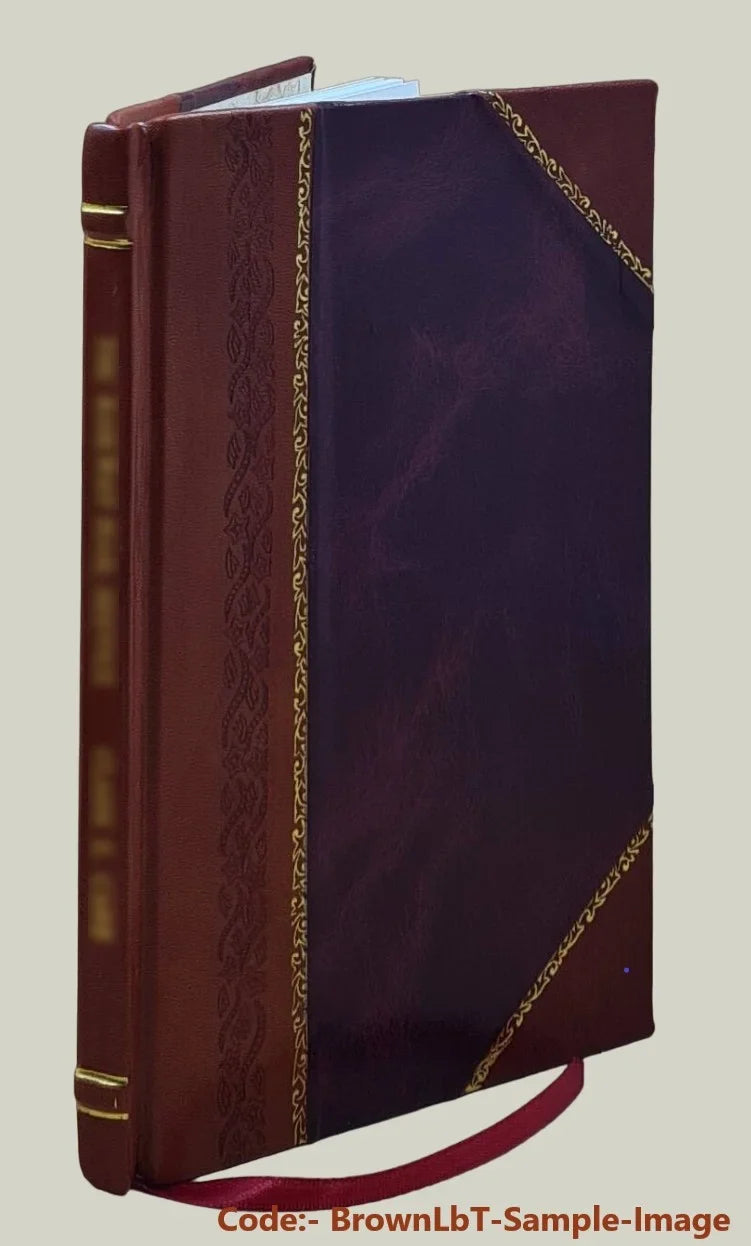 Marsilio del attivo [Leather sig. passivo lo Bound] 1850 dimostrativi e Prospetti Stato VecchiettiPoltri