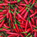 Peppers Chili Fresh oz) -1 (16 Lb Thai Red